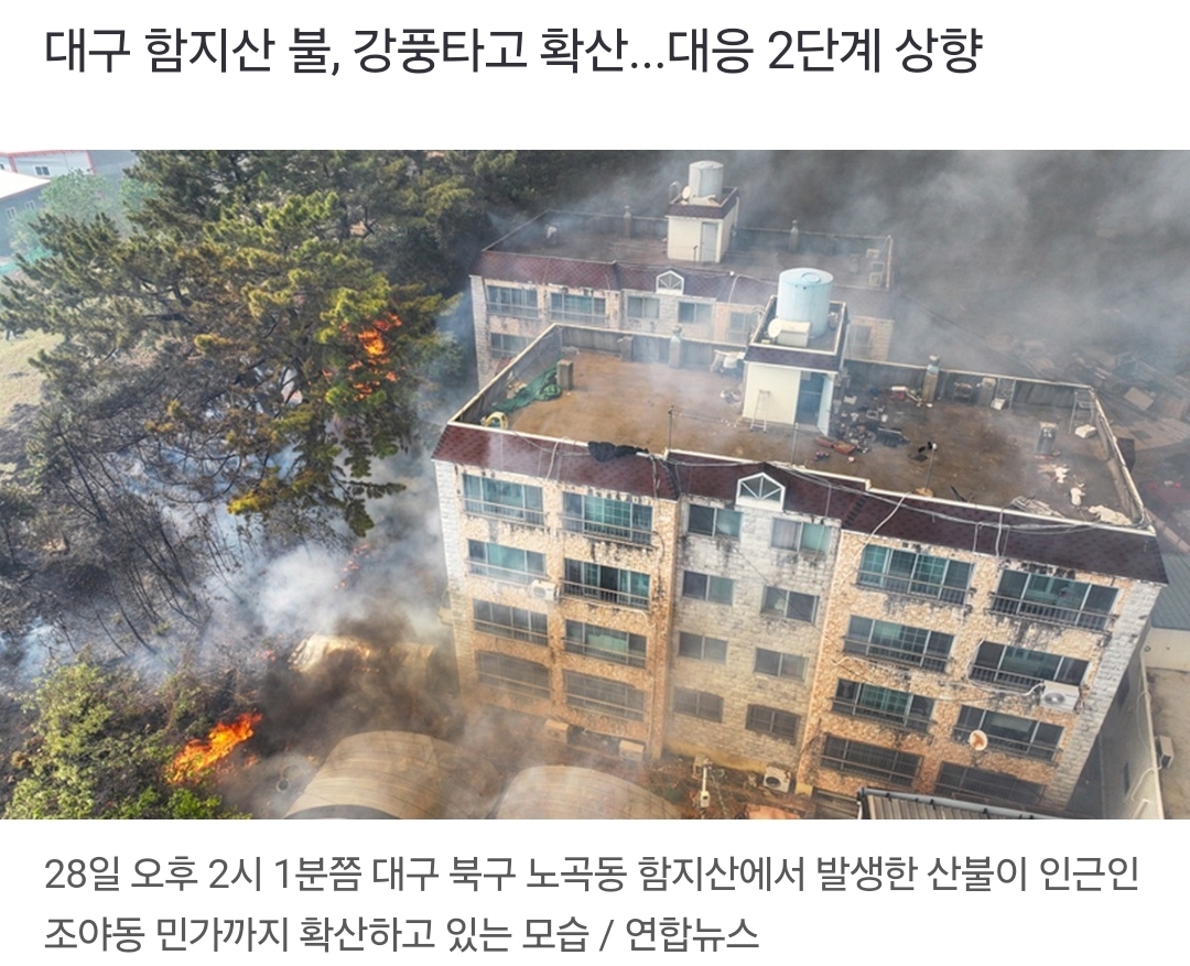 [잡담] 대구 불 잡혀라... | 인스티즈