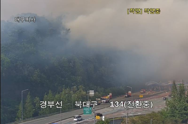 [잡담] 대구 산불 큰일이야...다른 산으로 불 넘어가는게 보여 | 인스티즈