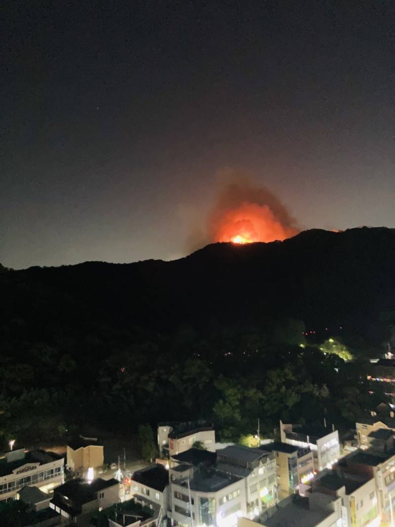 [잡담] 대구 산불 심한데; | 인스티즈