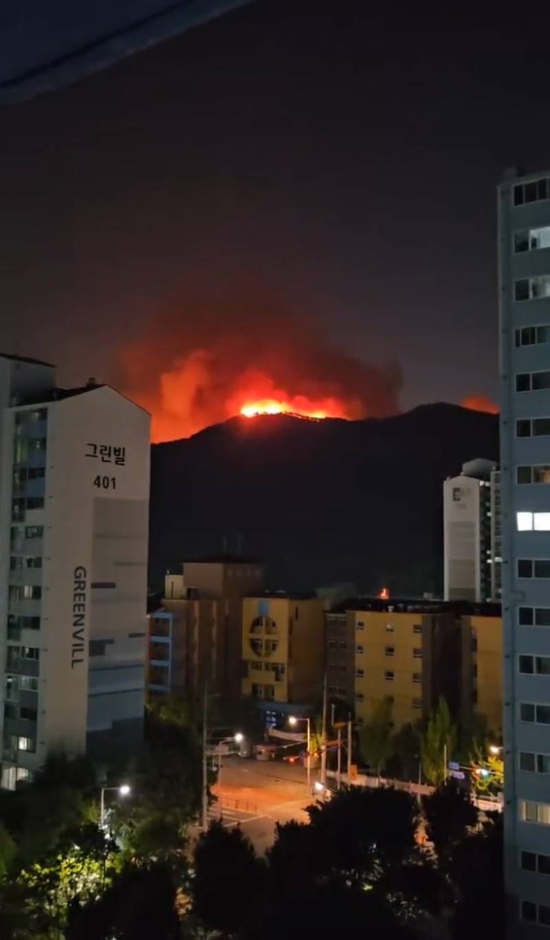 [잡담] 대구 산불 심한데; | 인스티즈
