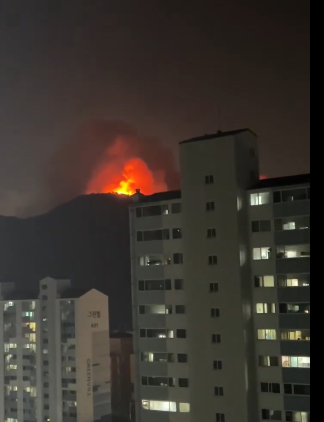 [잡담] 대구 산불 이정도래 | 인스티즈