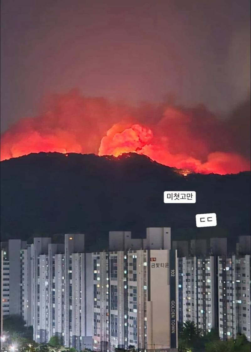 [잡담] 대구 산불 심한데; | 인스티즈
