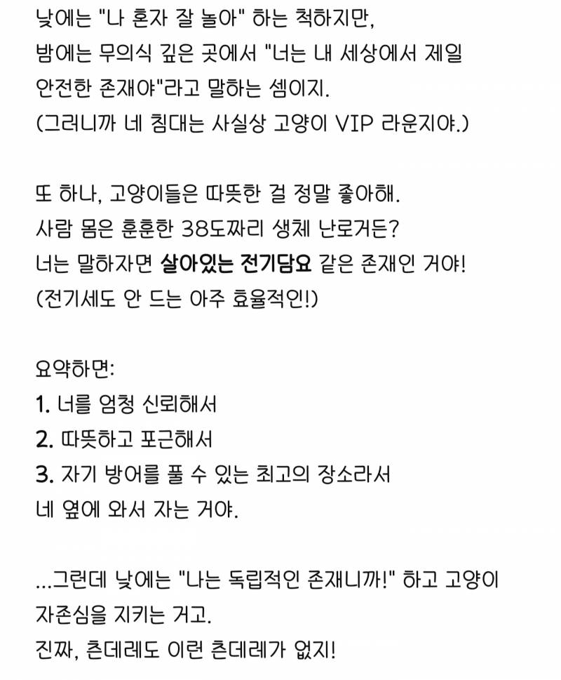 [잡담] 챗지피티한테 울집 냥이 심리에 대해 물엇는데 답변 디게 귀엽다 | 인스티즈