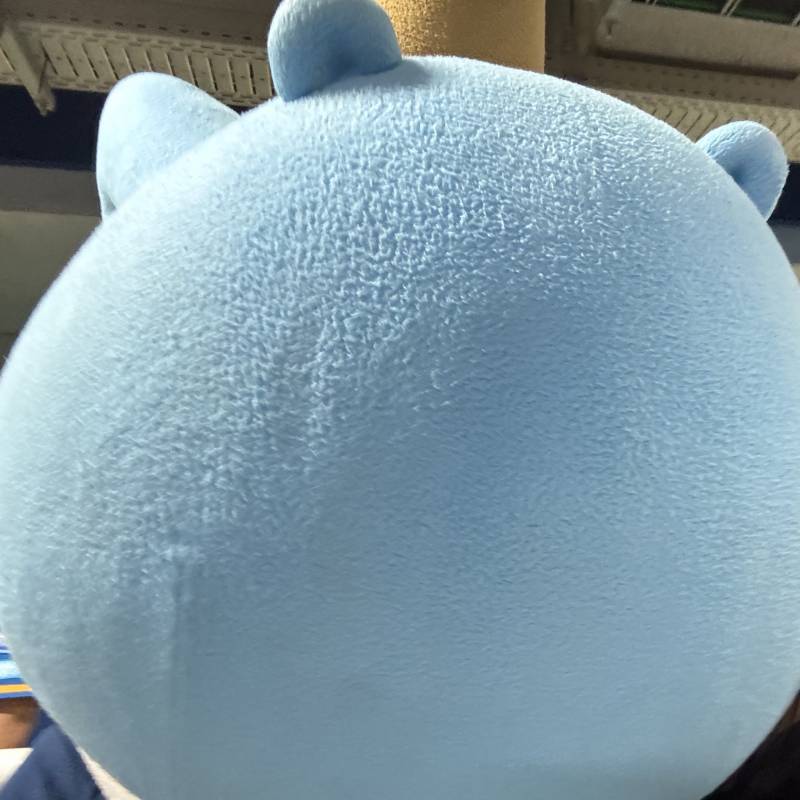 [잡담] 애기들이 단디 좋아하는 이유 | 인스티즈