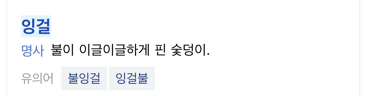 [잡담] 라이즈 잉걸 뜻이래 | 인스티즈