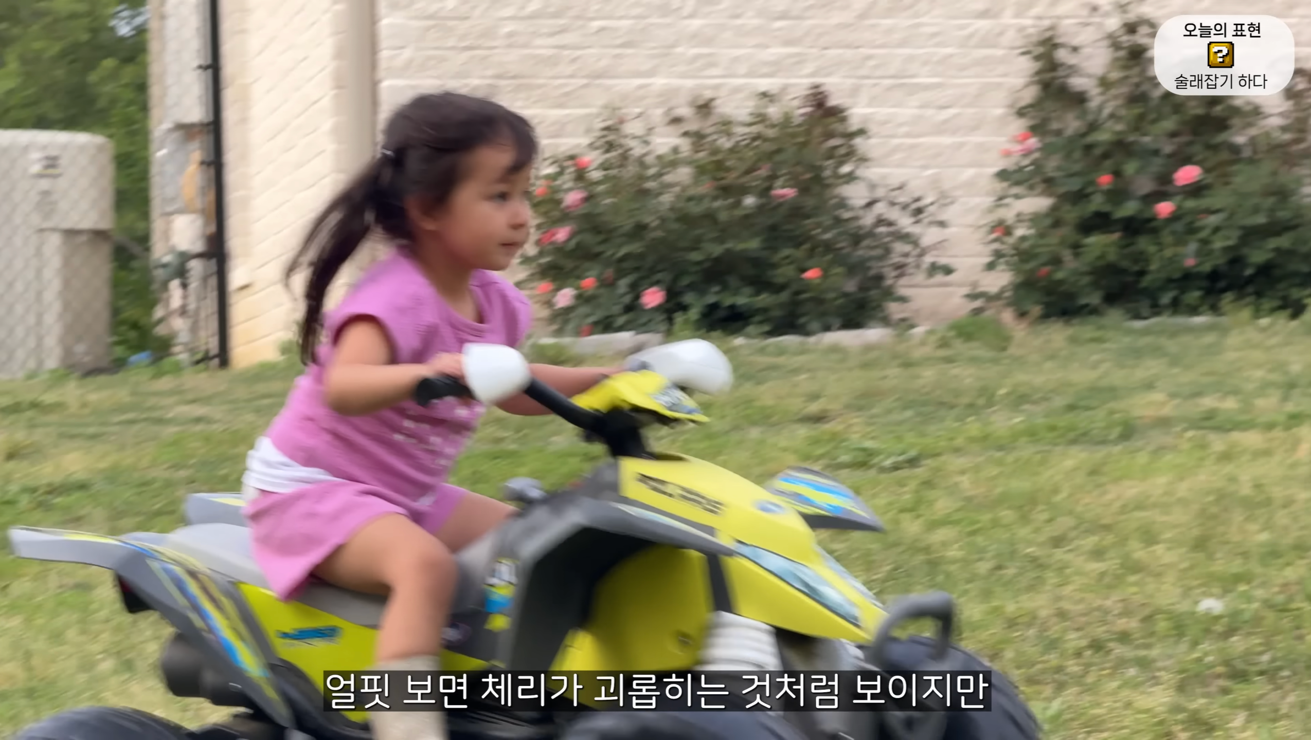 [잡담] 올리버쌤네 체리 많이 컸네 | 인스티즈