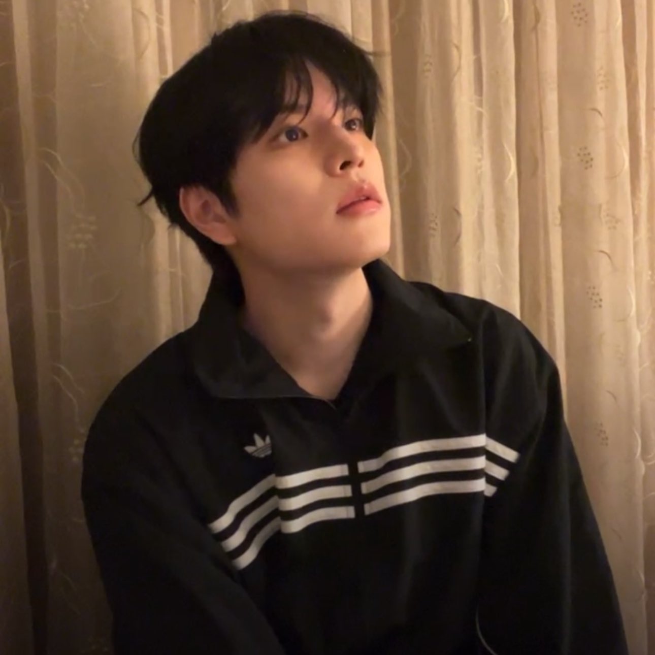 [잡담] 최애 아디다스 ㄹㅈㄷ 있으면 나 좀 줘.. | 인스티즈