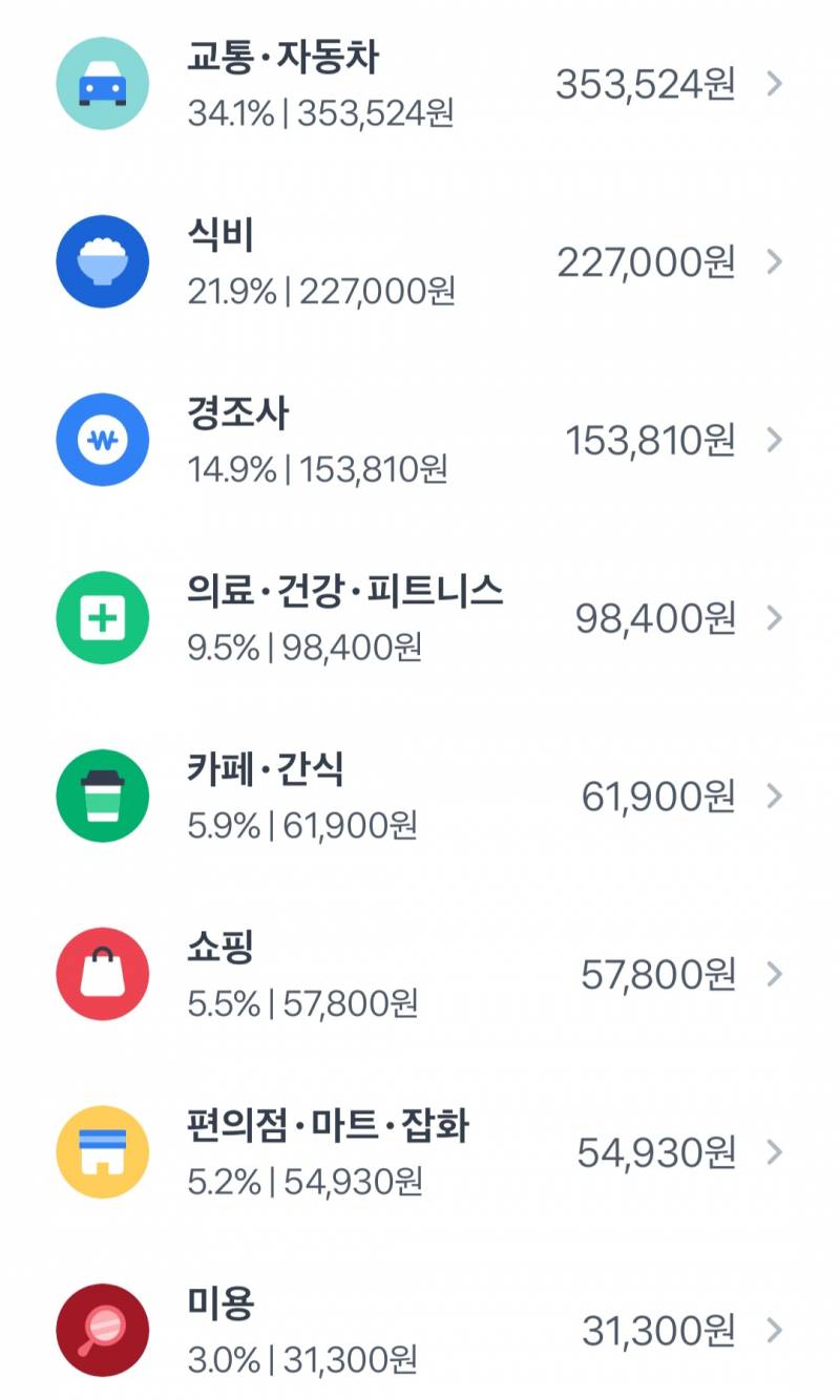 [잡담] 내 지출 항목인데 뭘 줄여야할까 | 인스티즈