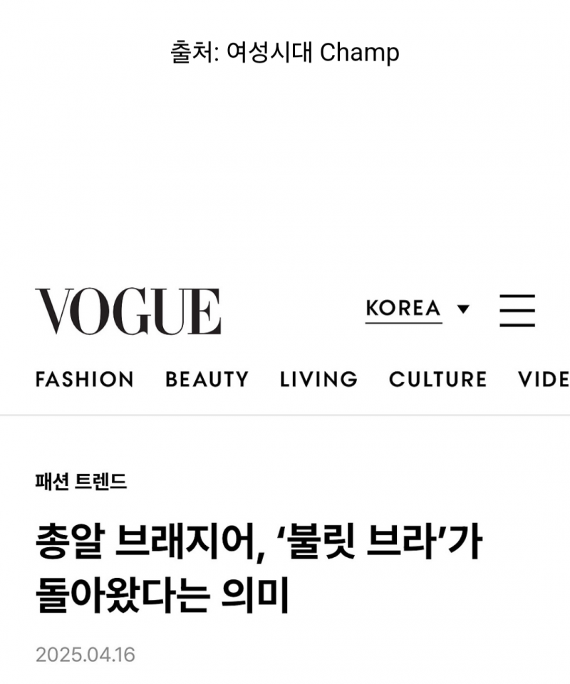 패션계가 시동거는 중인 총알브라 유행.JPG | 인스티즈