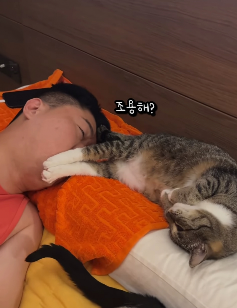 [잡담] 송하빈 인생봐 | 인스티즈