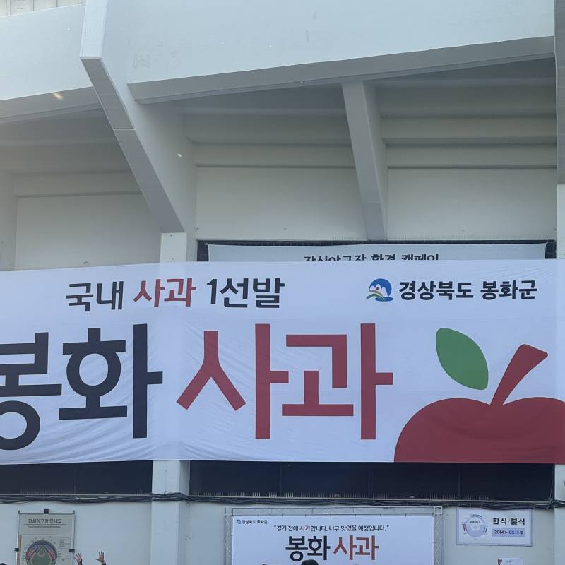 [잡담] 아니 잠실 무료로 사과 나눠준다 ㅋㅋㅋㅋㅋ🍎 | 인스티즈