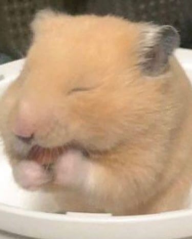 [잡담] 카리나님 초딩이세여? | 인스티즈