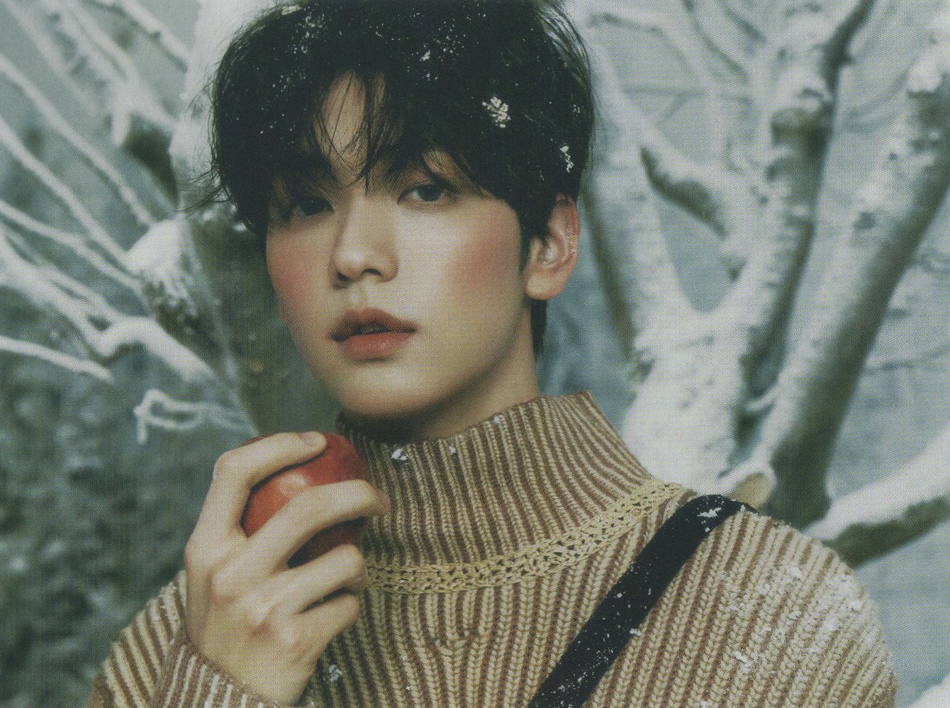 [잡담] 공계가 밀어주는 백설왕자🍎 | 인스티즈