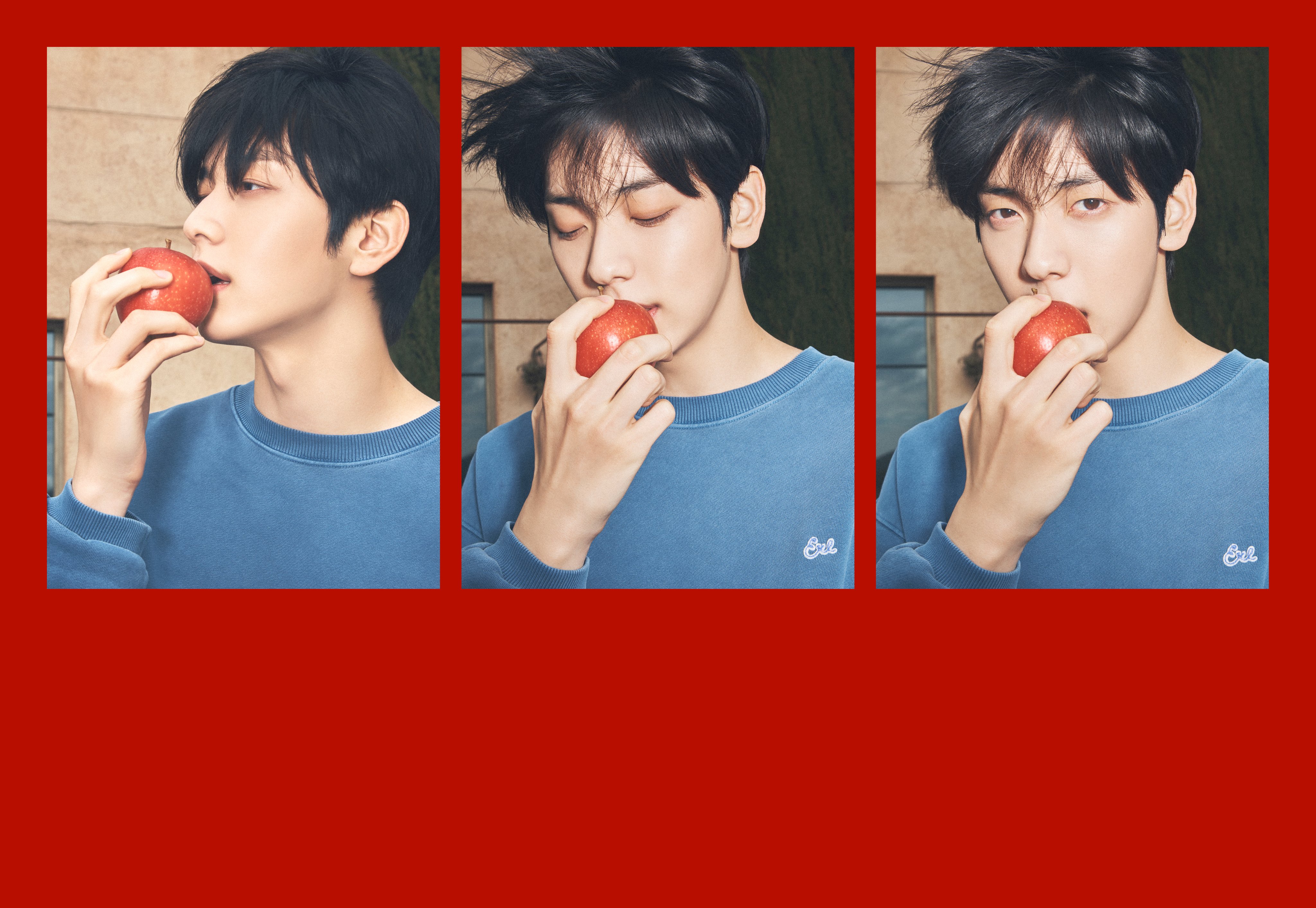 [잡담] 공계가 밀어주는 백설왕자🍎 | 인스티즈