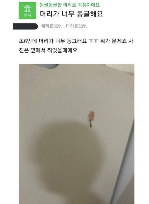 [잡담] 문에 그림자 비치는 내 머리통이 이렇게 생김 | 인스티즈