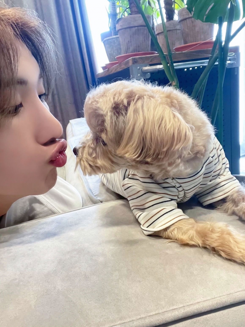잘생김의 대표 연예인 닮았다고 해주면 팬사랑을 느낀다는 남돌 | 인스티즈