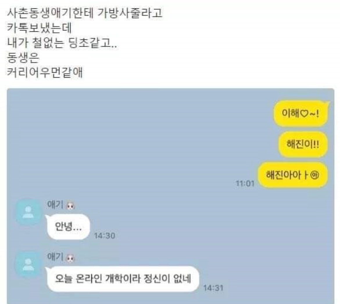 [잡담] 사쿠야 버블 한 짤 요약 | 인스티즈