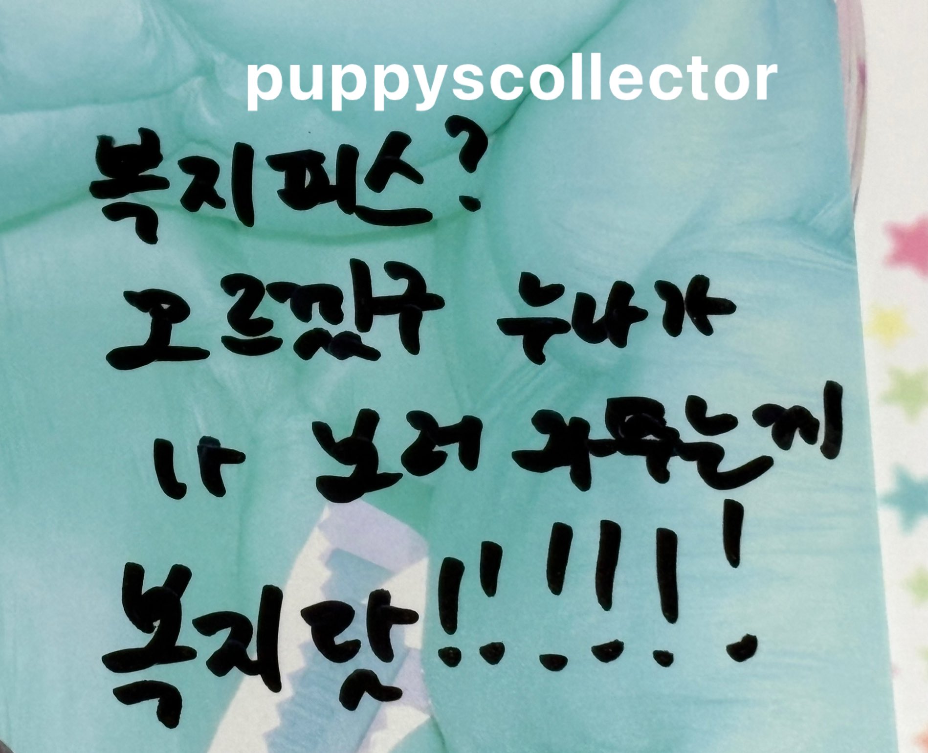 [잡담] 김대영 복지피스 사건 | 인스티즈