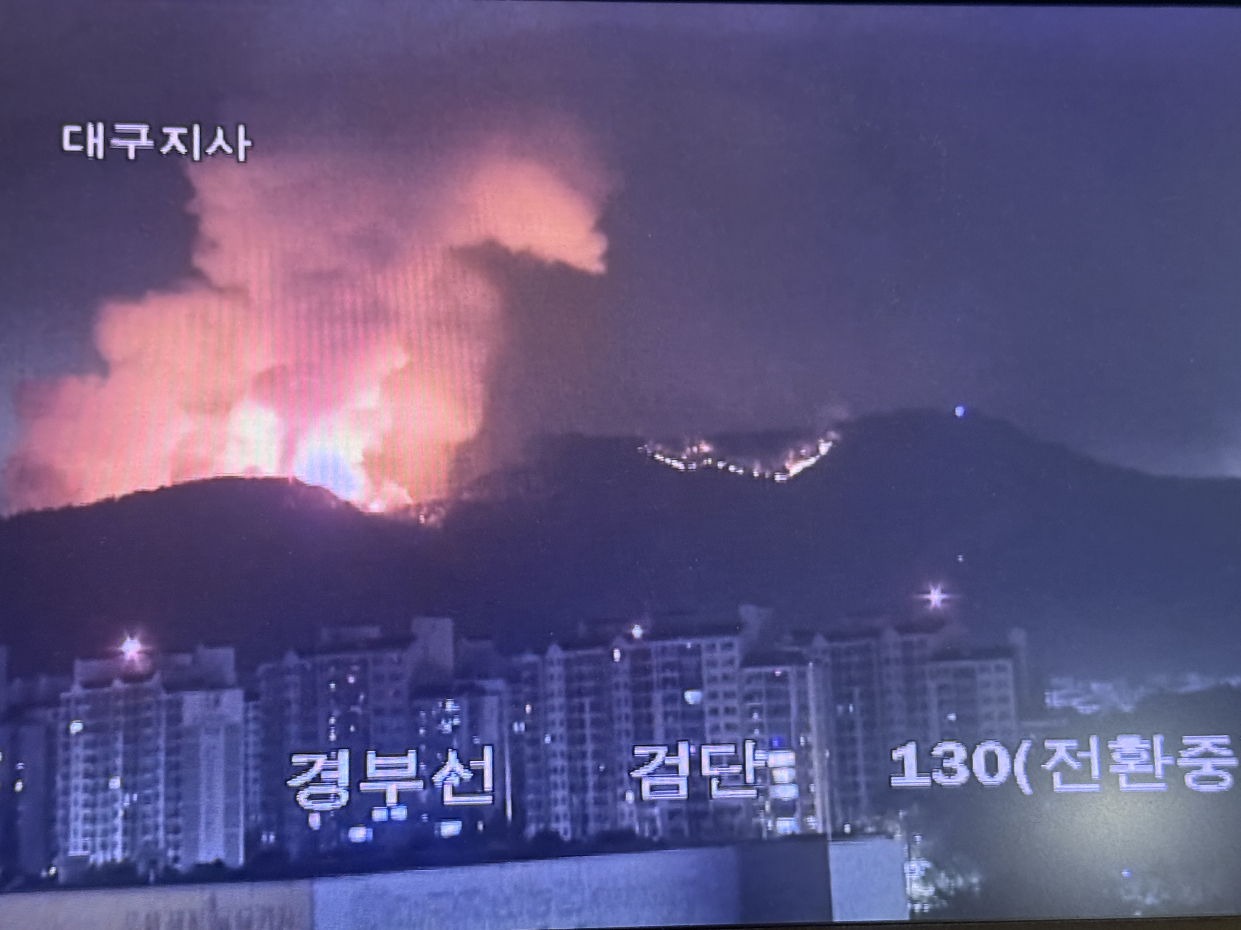 [잡담] 지금 실시간 대구 CCTV봄...? | 인스티즈