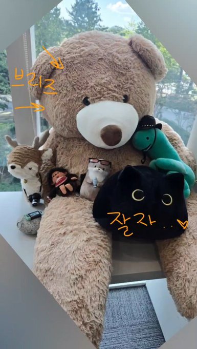 [잡담] 앤톤아 브리즈를 찢으면 어떡하죠..? | 인스티즈