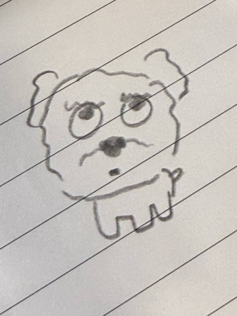 [잡담] 강아지키우는 익들 다들 야식 어케먹음..? | 인스티즈