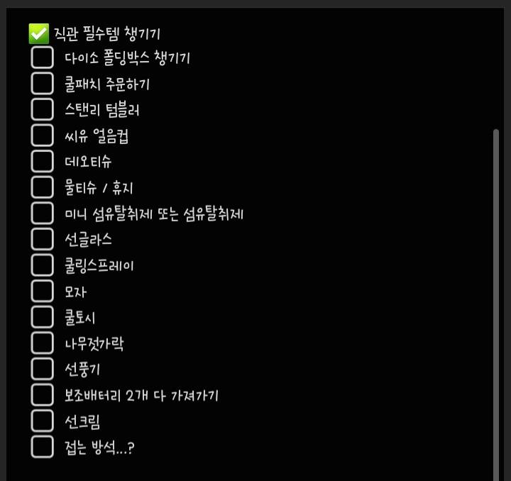 [잡담] 엠비탸 극J인 파니가 챙기는 직관아이템들 | 인스티즈