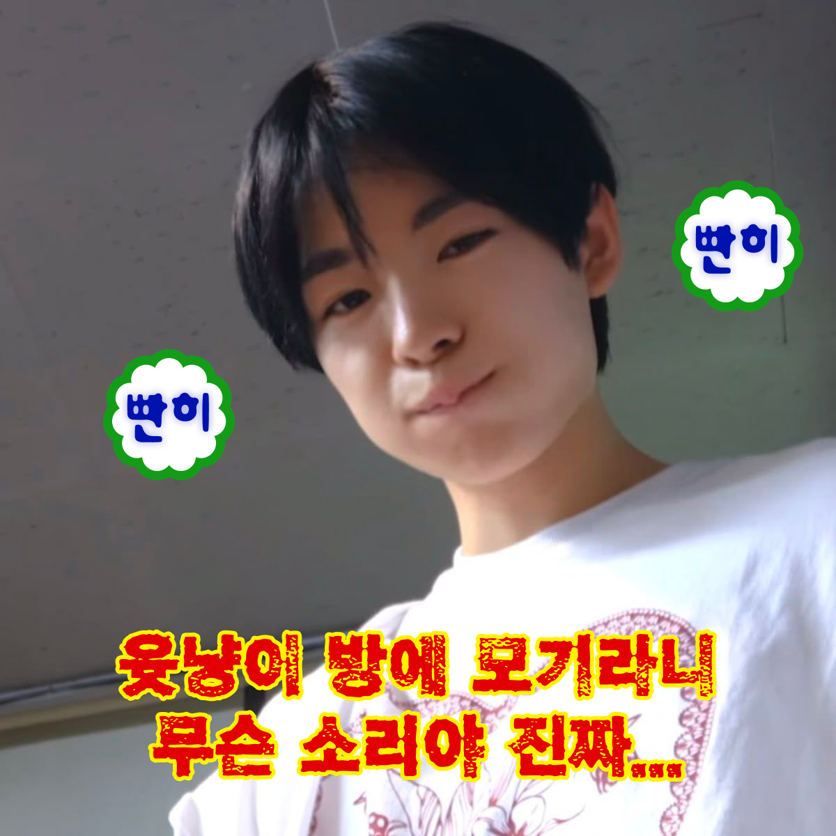 [잡담] 어제 유우시 모기 버블 본 나 | 인스티즈
