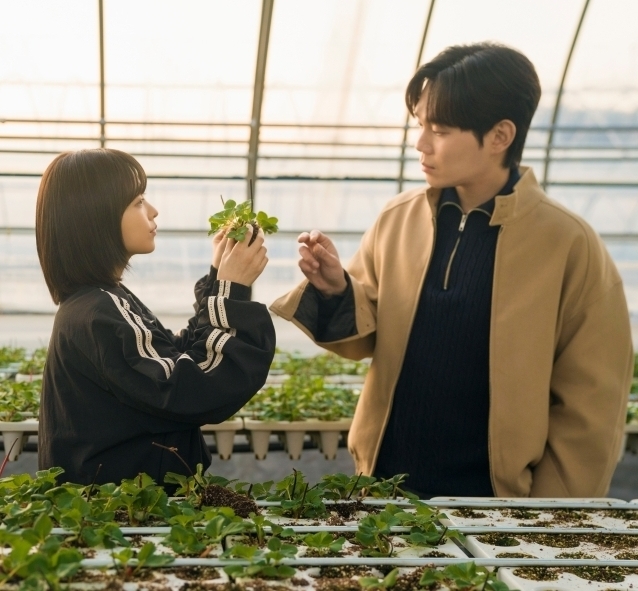 [정보/소식] 류경수, 박보영 쌍둥이 자매 고용했다알쏭달쏭한 감정(미지의 서울) | 인스티즈