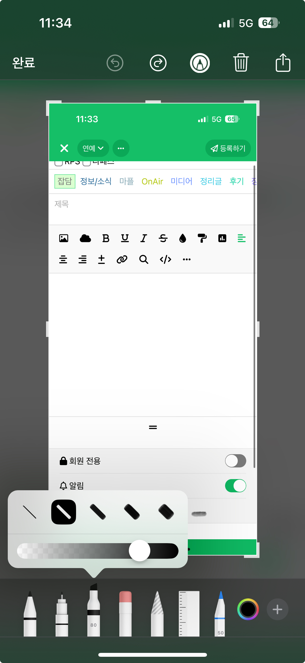 [잡담] 아이폰 마스킹 보이는거 이걸로 칠해놔서그럼 | 인스티즈