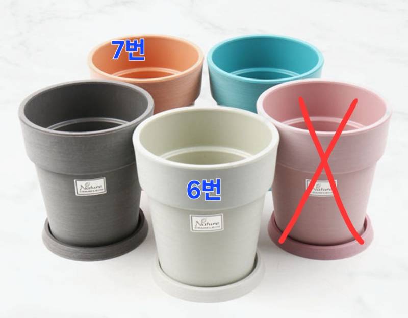 [잡담] 익들아 화분 예쁜 거 두개만 골라줄래? | 인스티즈