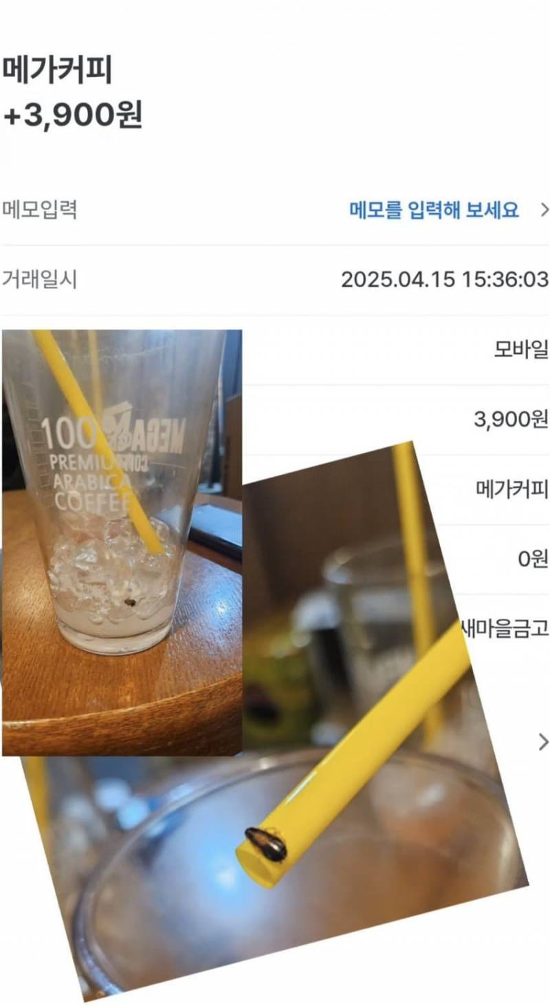 커피에서 바퀴벌레 나온 메가커피.....ㅎㅇㅈㅇ | 인스티즈