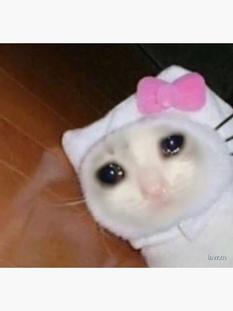 [잡담] 밝아오는 아침...못 웃기면...지구를 떠나겠습니다... | 인스티즈
