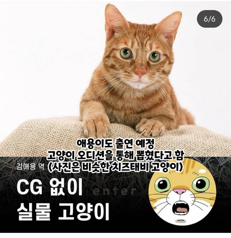 [잡담] 웹툰 좀비딸 실사화에 김애용 나온다 함ㅋㅋㅋㅋㅋ | 인스티즈