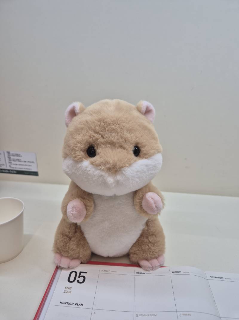 [잡담] 다이소에서 인형 한마리 업어왔어 | 인스티즈