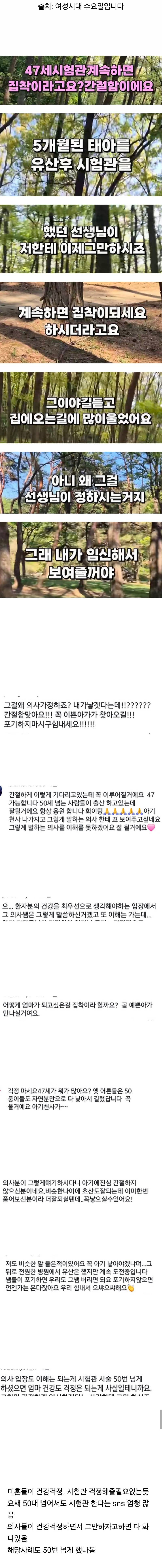 시험관 그만하라는 권유받고 화난 47세.JPG | 인스티즈