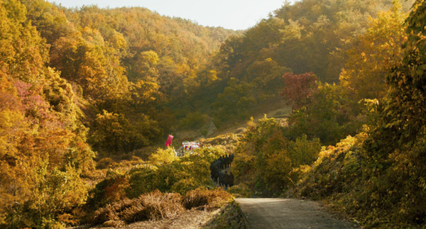 [잡담] 한국의 가족 사회를 살벌하게 잘 그려낸 영화 | 인스티즈