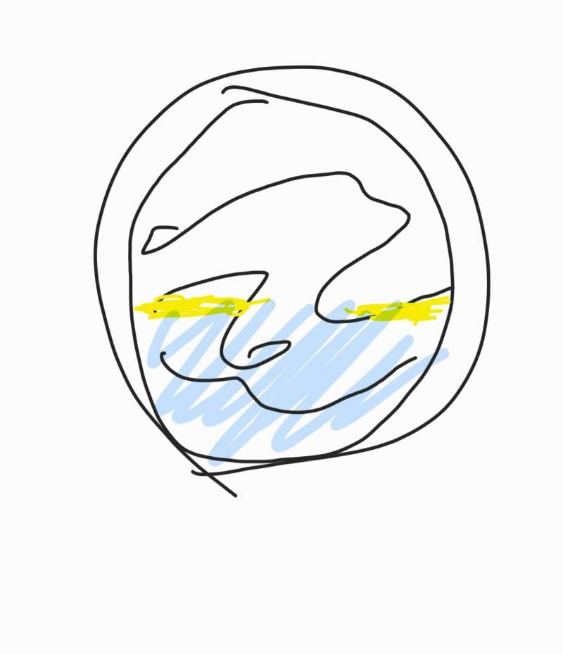 [잡담] 드럼세탁기 원래 마지막 헹굼 때에도 거품 조금 나와? | 인스티즈