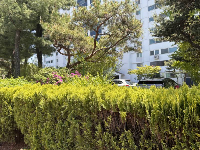 [잡담] 우리 언니 좋은곳 가게 기도좀 해줄수있어? | 인스티즈