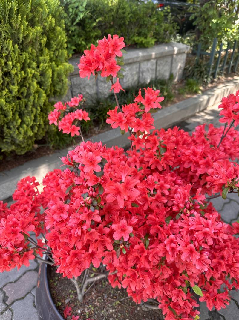 [잡담] 나의 하나뿐인 언니에게 쓰는 편지💌 | 인스티즈