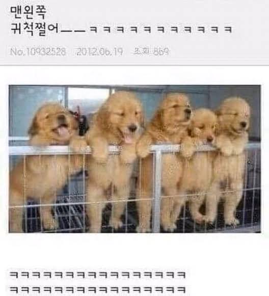 [잡담] 맨왼쪽 원빈이 귀척쩔어 | 인스티즈