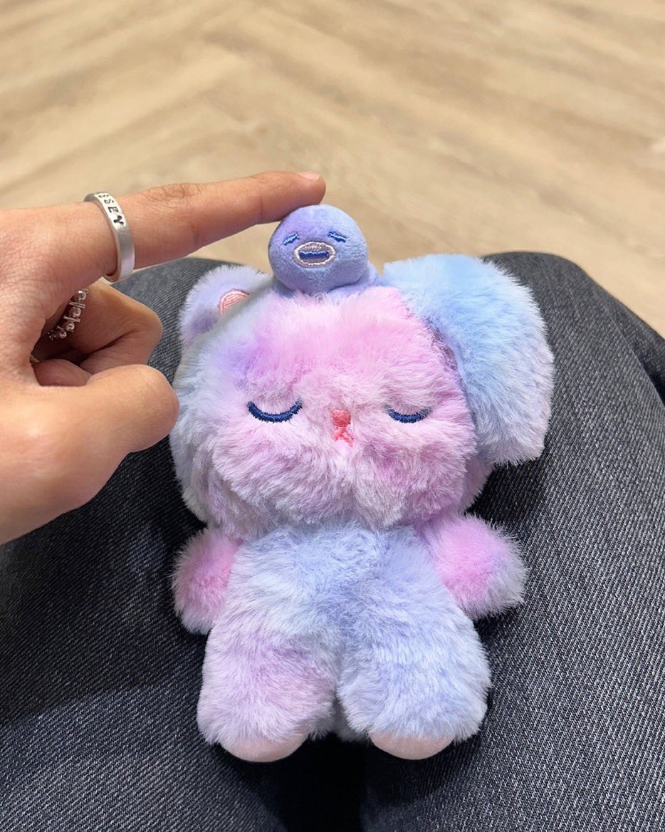 [잡담] 원빈 이 인형 왜 양쪽 귀가 다른거야? | 인스티즈