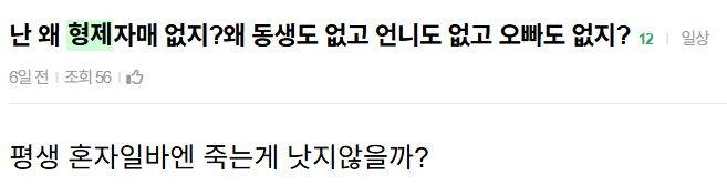 [잡담] 외동좌가 누구나면 | 인스티즈