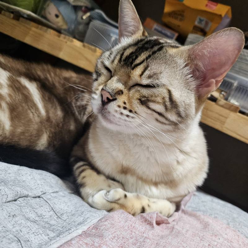 [잡담] 또 이불 뺏김!!! | 인스티즈