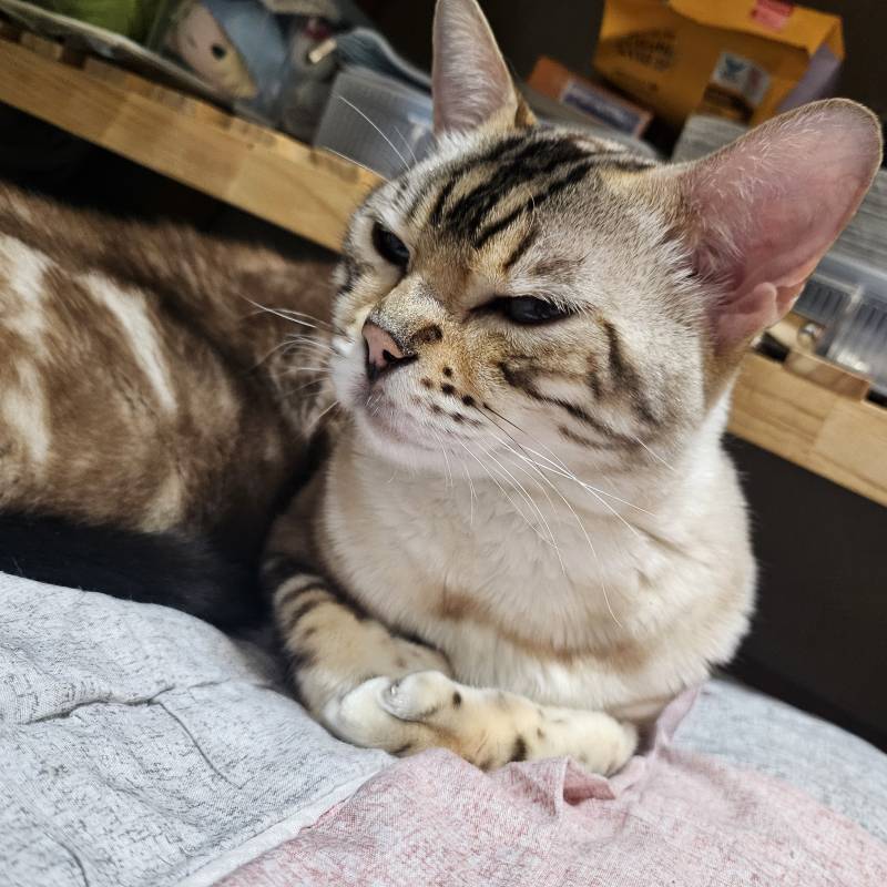 [잡담] 또 이불 뺏김!!! | 인스티즈