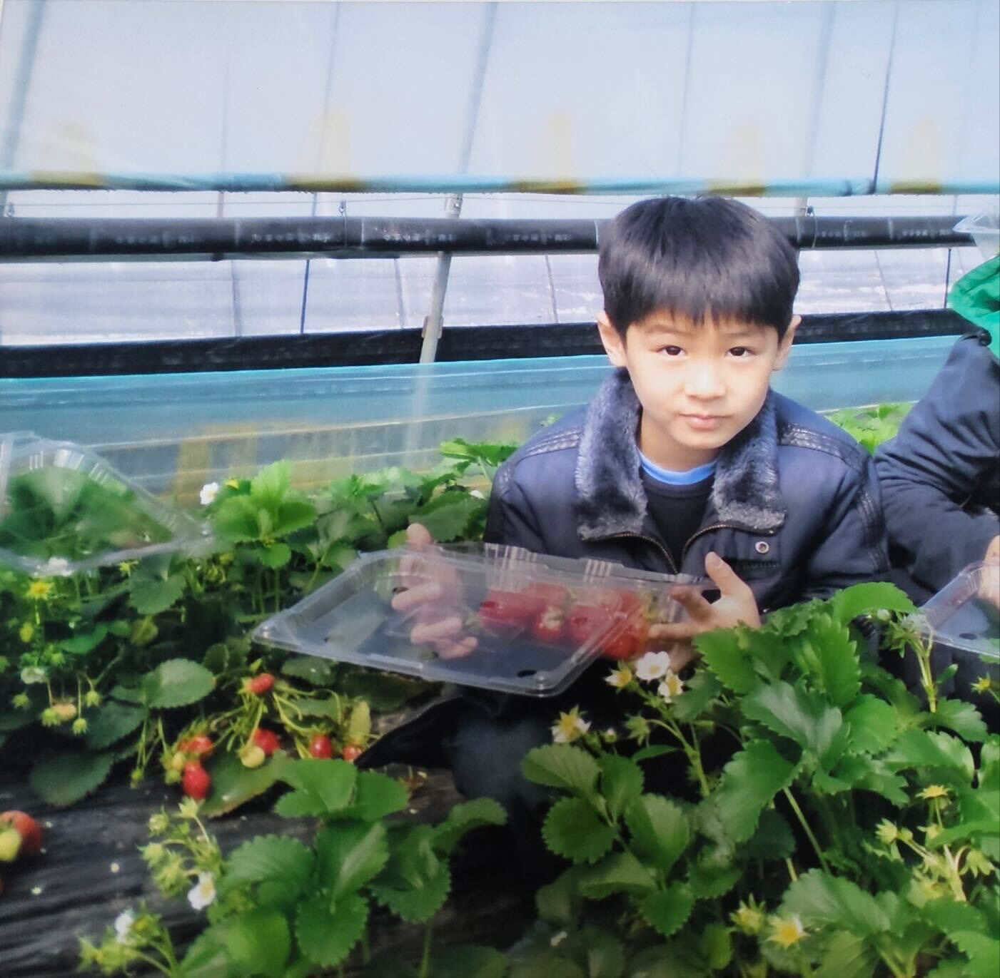 [잡담] 아니 보넥도 이한 애기때 사진 보게 됐는데 | 인스티즈