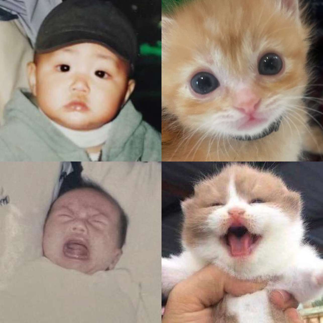 [잡담] 원빈이 애기 사진 왤케 웃긴게 많지ㅋㅋㅋㅋ | 인스티즈