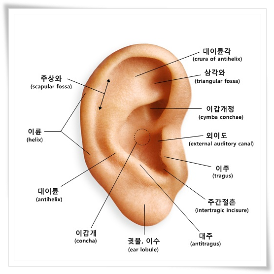 [잡담] 외이도염 걸려본 사람 있어? 이거 외이도염 증상 맞아? | 인스티즈