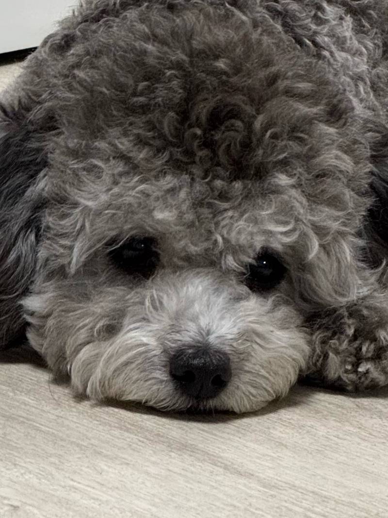 [잡담] 얼굴 자랑 좀 할게 | 인스티즈