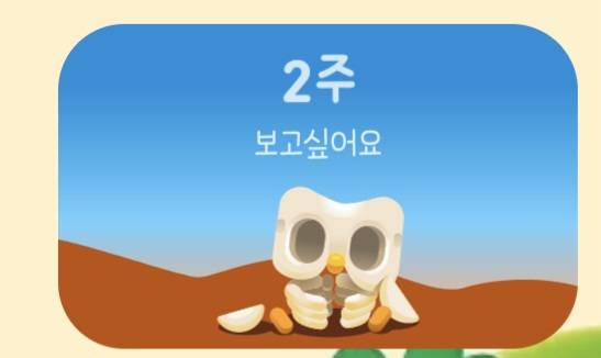 [잡담] 내 듀오링고 부엉이 뼈만남았네; | 인스티즈