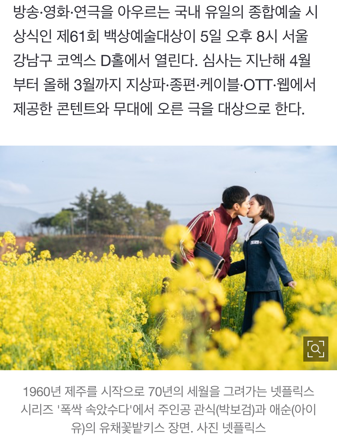 [정보/소식] 8개 부문 후보 '폭싹' 백상예술대상 휩쓸까 | 인스티즈